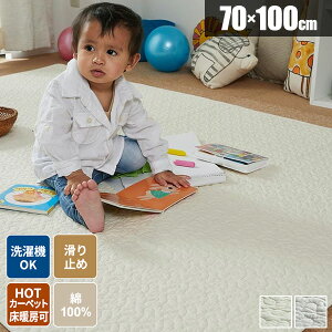 ym21IőSz 11/5zO RbgO CuO ڒܕsgp LgO Rbg I[V[Y 􂦂 Cuzc  \t@[Jo[ ~pO ؍ 