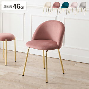 yőSz^_I12/5œIm21z֎q _CjO`FA `FA[ 킢  CX _CjO֎q H֎q ۂ Pn S[hr  IV `FA CeA xA