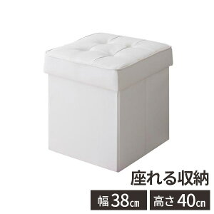 yőSz^_I12/10œIm21zXc[ [ ֎q x` ʏ [t  ֈ֎q փXc[ ӂt 40cm ܂肽 RpNg {bNXXc[ _Cj