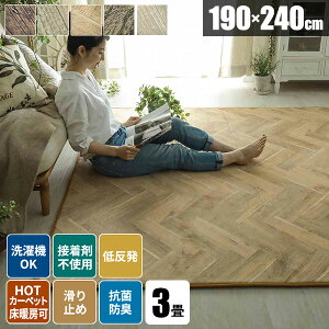 【レビュー特典付き】ラグ ラグマット 3畳 低反発 厚手 ウッド 洗える おしゃれ 北欧 冬用 じゅうたん カーペット 絨毯 三畳 木目調 190×240 オールシーズン 長方形 アンティーク 冬用ラグ 極