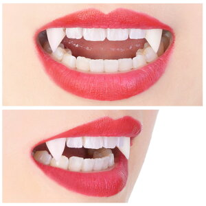 �y���������z �N���b�Z CLASSE �t�����d��1.5cm