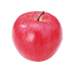 【送料無料】 クラッセ CLASSE リンゴ(赤) 撮影用