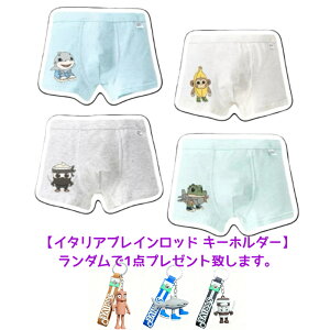 [] C^AuCbg уL LN^[ vg {NT[pc V[c 4Zbg q LbY j̎q  Rbg A_[EFA