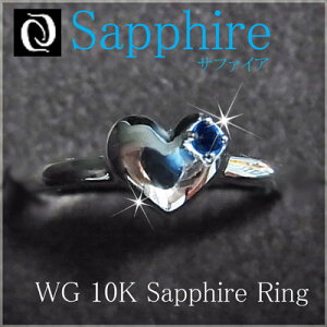 yzWG 10K u[Tt@CAO^Cj[n[g_WG[_ANZT[_fB[X_w_O_zCgS[h_Tt@CA__