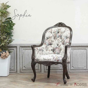 輸入家具 ロココ調家具 アームチェア ロココ ソフィア 姫系 ソファー 一人掛け コンパクト フランス イタリア ヨーロッパ 猫脚 かわいい おしゃれ アンティーク風 アンティーク調 店舗什器