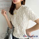 tシャツ レディース 半袖 半袖 ショート丈 クルーネック ぽこぽこ ジャガード キレイ見え 華奢見え プルオーバー 無地 ワンポイント レース 大きいサイズ 春 夏 2025SS クラシカルエルフ ce1050273