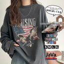 《javaジャバコラボ》 tシャツ レディース 半袖 綿100% 天竺 素材 ピグメント 加工 ヴィンテージ 風 グラフィック Tee ゆるっと オーバーサイズ 大きいサイズ 春 夏 クラシカルエルフ jv1050148
