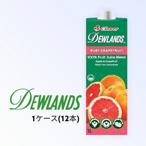 DEWLANDS fEh r[O[vt[cW[X 1000ml *12{ P[X̔ gsJW[X