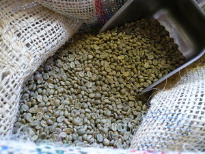  R[q[ RrA GNZ\ Colombia Exelso 200g