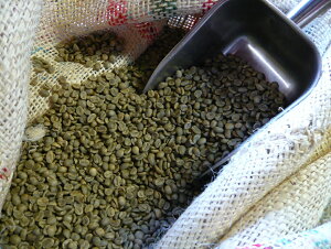 コーヒー生豆 自家焙煎 コロンビア スプレモ 1kg Colombia Supremo