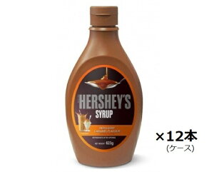 HERSHEY'S ハーシー キャラメルシロップ 623g×12本 ケース販売