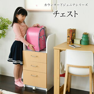 JE^[ `FXg 3i 40cm 85cm JE^[[ s35cm  o Oi LX^[t rO [ I q qFAւ͕̑ʓrςB