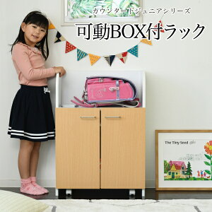 JE^[ ჉bN {bNXt 60 85 JE^[[ s35cm t ᔠ LX^[t rO [ I q qAւ͕̑ʓrς