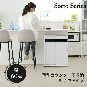 JE^[[ ^ Lrlbg  JE^[ Lb` 60 s22 80cm t HI I X  [^[ RZg KXAA͕̕