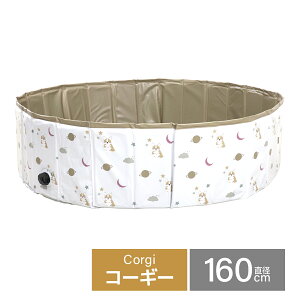 y2025VFzv[ ܂肽 Csv 120cm 160cm rj[v[ {[v[ RpNg  x_ ȒP[ ^ ƒpv[ qv[ qp v[ V xr[p