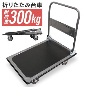 yP2{N[|z ܂肽 ^  300kg LX^[t  L[J[g L[ ^ J[g RpNg X`[ 艟 ^ Ɩp ƒp ʔ V