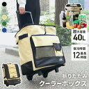 【限定クーポン特価2,680円】クーラーボックス 折りたたみ 大容量 40L キャスター付き 小型 おしゃれ クーラーバッグ ソフトクーラーボックス 保冷バッグ 冷蔵ボックス 保冷バック 買い物カート キャリー かわいい コンパクト お花見 キャンプ 防災 p10