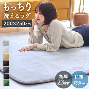 �y�{��5��OFF�N�[�|���z�Ɍ� ���O �􂦂� �R�� �h�_�j ���� �ӂ�ӂ� �g���� ���O�}�b�g 200×250cm 3�� �z�b�g�J�[�y�b�g �� �g�[ �Ή� ������ ���O �ᔽ�� ����~�ߕt�� �I�[���V�[�Y�� �H �~ ��