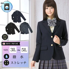 スクールブレザー 紺 チャコールグレー 黒 大きいサイズ 3L 4L 5L 日本製 国内生産 学生 制服 上衣 ジャケット 女子高生 女の子 女子 レディース 中学生 高校生 ネイビー ブラック スタンダードタイプ