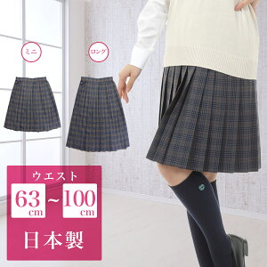 プリーツスカート 女子学生服 通販 人気ランキング 価格 Com