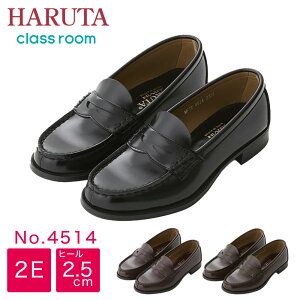HARUTA[t@[ 4514 2E   n^ fB[X q ̎q q w ʊw ʋ  { Y ubN uE EE classroomS