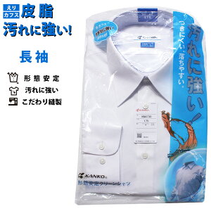 KANKO jqXN[Vc ɋ `Ԉ h N[Vc 4NXߖt ̐݌v AWX^u{^ ivڒc p w w Z ʊw CVc j 