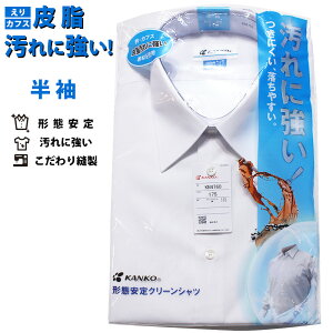 KANKO jqXN[Vc ɋ `Ԉ h N[Vc 4NXߖt ̐݌v AWX^u{^ ivڒc p w w Z ʊw CVc j 