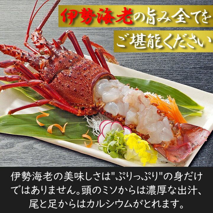 楽天市場 即席 伊勢海老の味噌汁 約50食 インスタント 味噌汁 即席みそ汁 粉末 フリーズドライ 生味噌 ではありません インスタント味噌汁 即席味噌汁 インスタントみそ汁 いせえび イセエビ 伊勢エビ 業務用 メール便 送料無料 ポイント消化 ポイント消費 クラバ