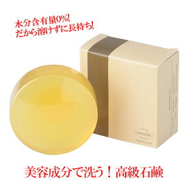 固形石鹸 美容室専売品 ココチ プレミアムソープ 100g 美容成分6種(プラセンタエキス ヒアルロン酸 コラーゲン 核酸 フルボ酸 ホホバオイル) スキンケア 洗い上がり さっぱり 乾燥肌 しっかり保湿 せっけん 石けん 送料無料