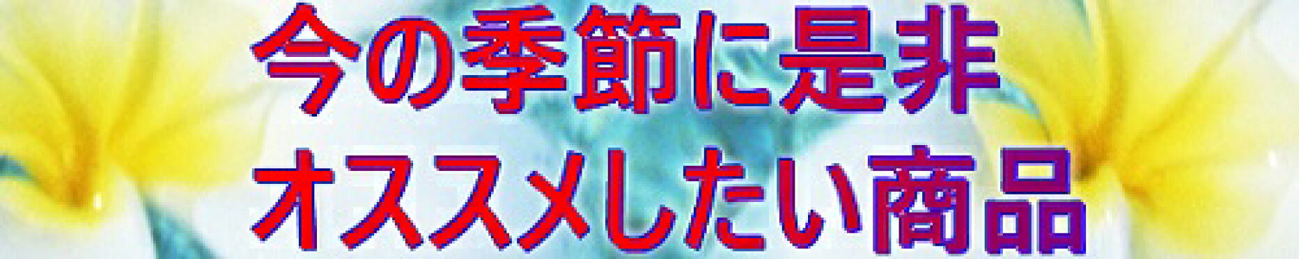 季節のオススメ商品