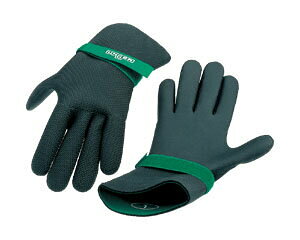 EK[ UNGER@GSebN lIv O[uiGLO2jihjyƖp ܁z