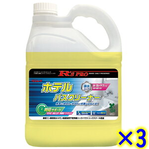 C@R'S PRO zeoXN[i[ 4L×3{ yƖp   p C 嗁 jbgoX nEXN[jO