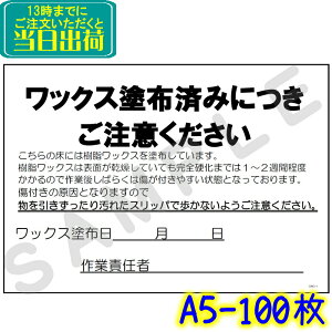 CWC-1 bNXhzςݒӃV[gi100jpNAP[XiA4/B5/A5jyƖp ӊN x |z