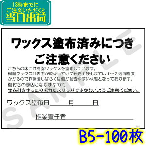 CWC-1 bNXhzςݒӃV[gi100jpNAP[XiA4/B5/A5jyƖp ӊN x |z