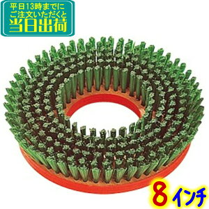 A}md@@g[uV 8C`  ؑ@ Ɩp iCuV tA|bV[p O[ puV