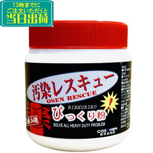 COSCHEM コスケム 汚染レスキュー びっくり粉 500g  業務用 超微粒子研磨剤配合パウダー洗剤 TOSHO トーショー