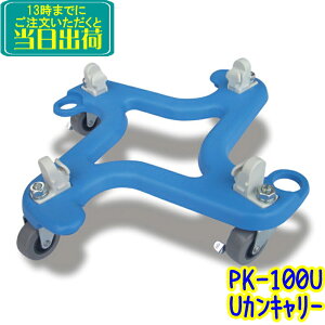 ZC@UJL[iPK-100UjyƖp UʃL[