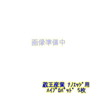 YƁ@imGbWp nCvpbh 5 yimGbW{̂Ɠw1000~