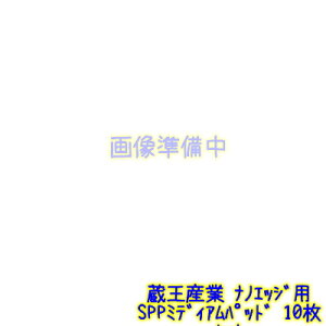 YƁ@imGbWpSPP~fBApbh 10Zbg yimGbW{̂Ɠw1000~z