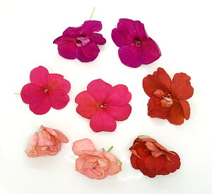 GfBut[ Hp yȂĂ؁z SS̎ N[[ ؍H ͔|