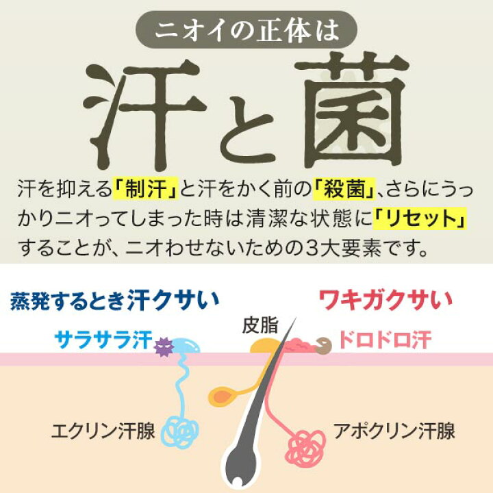 楽天市場】【全額返金保証】[医薬部外品] 送料無料 公式 クリアネオ 
