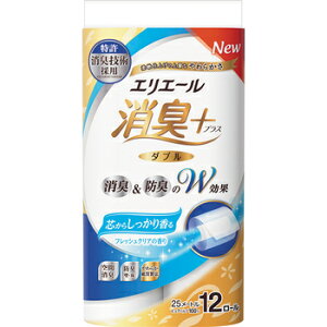 GG[ L+ gCbgeBV[ c炵荁 tbVNA̍ 12[ _u