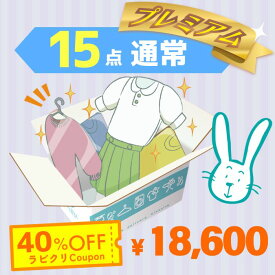 クリーニング　宅配　保管なし　プレミアムコース　最速便　15点パック　送料無料の宅配クリーニング 衣替え 新生活 シミ抜き 片付け 抗菌 防虫