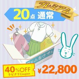 クリーニング　宅配　保管なし　プレミアムコース　最速便　20点パック　送料無料の宅配クリーニング 衣替え 新生活 シミ抜き 片付け 抗菌 防虫