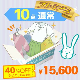 クリーニング　宅配　保管なしプレミアムコース　最速便　10点パック　送料無料の宅配クリーニング 衣替え 新生活 シミ抜き 片付け 抗菌 防虫