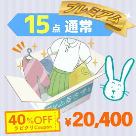 クリーニング　宅配　保管なし　プレミアムコース　最速便　15点パック　送料無料の宅配クリーニング 衣替え 新生活 シミ抜き 片付け 抗菌 防虫