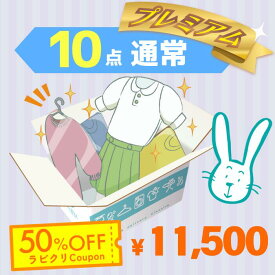 クリーニング　宅配　保管なしプレミアムコース　最速便　10点パック　送料無料の宅配クリーニング 衣替え 新生活 シミ抜き 片付け 抗菌 防虫