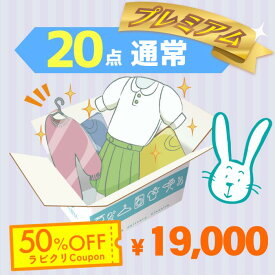 クリーニング　宅配　保管なし　プレミアムコース　最速便　20点パック　送料無料の宅配クリーニング 衣替え 新生活 シミ抜き 片付け 抗菌 防虫