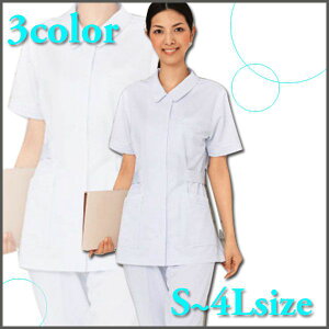 WHISeL zCZ i[X `jbN / HOA Ōt m  d wh10301 ẑ