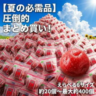 うめしば 大粒 国産梅 カリカリ梅 個包装 村岡食品 約20個〜約400個 選べる6サイズ 業務用 まとめ買い 熱…